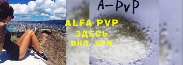 молекула духа Арсеньев