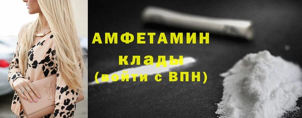 молекула духа Арсеньев