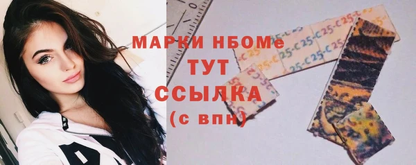 молекула духа Арсеньев