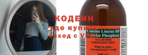 молекула духа Арсеньев