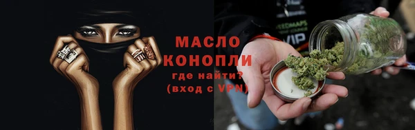 молекула духа Арсеньев