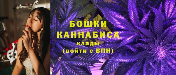молекула духа Арсеньев